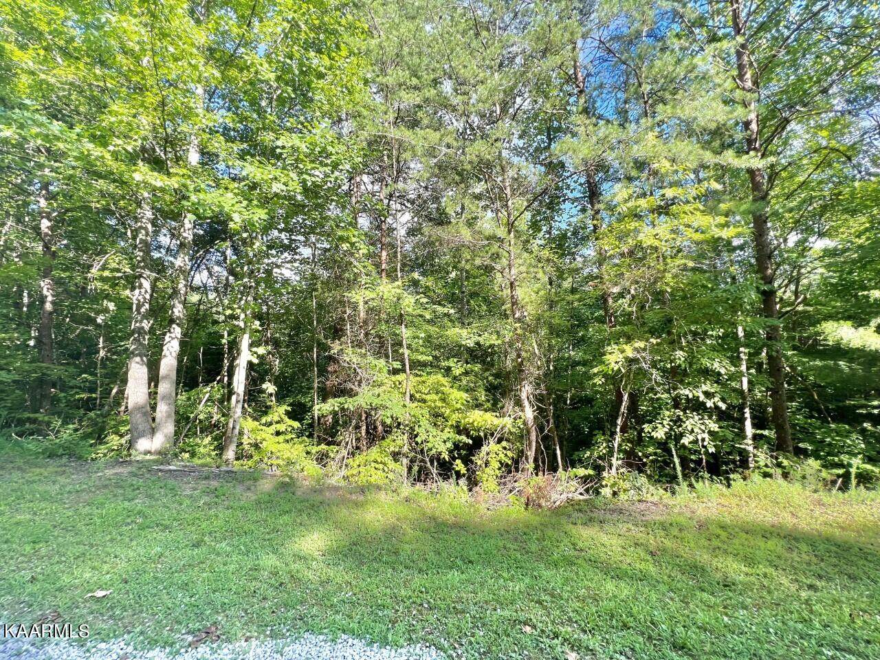 Lot 15 Black Fox Harbor - Photo 1