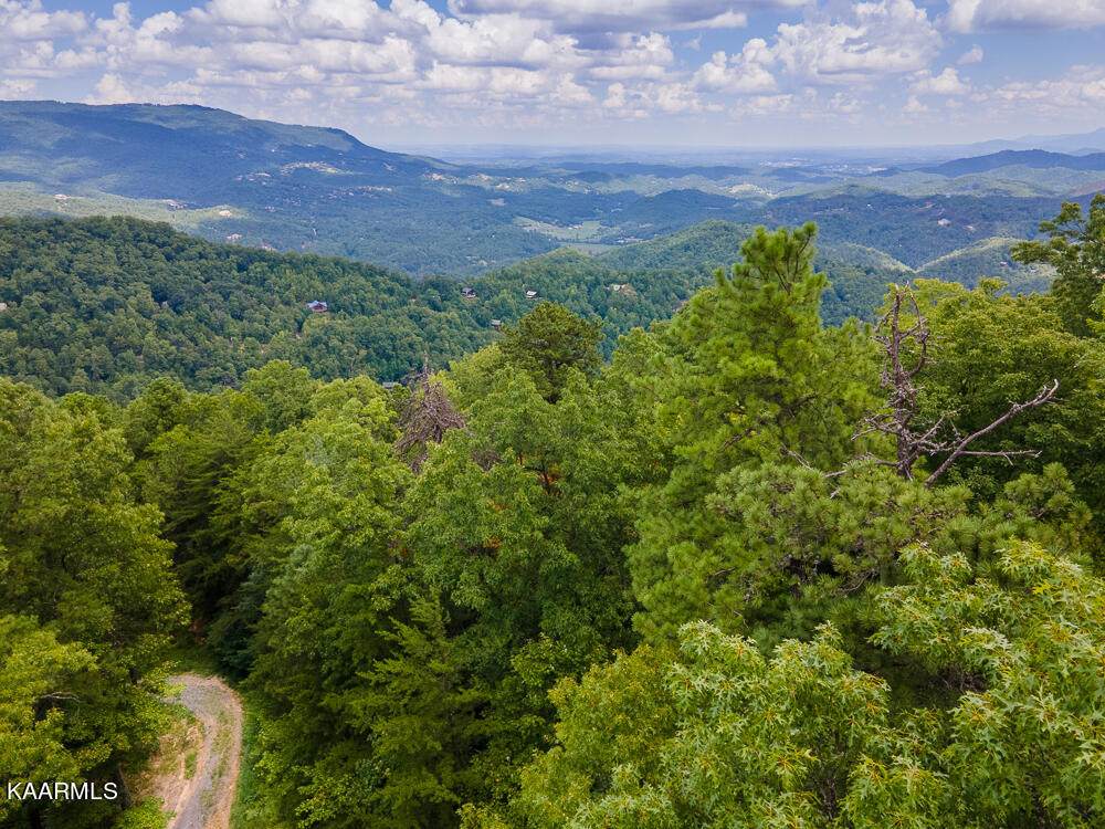 Overholt Trail - Photo 1