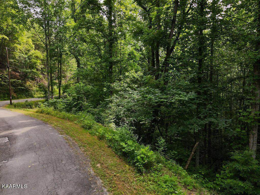 Lot 0003 Stepping Stone Drive - Photo 1