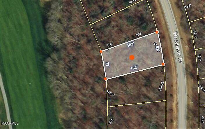 730 Westchester Drive - Photo 1