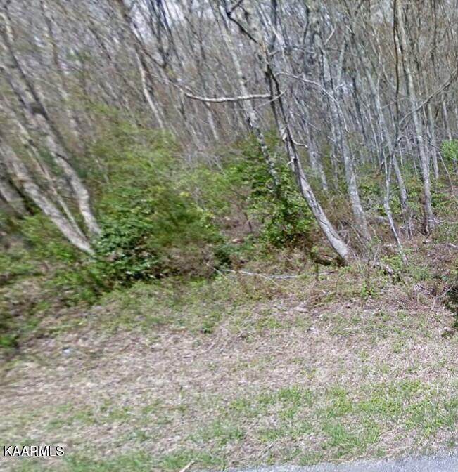 4006 Kato Drive - Photo 1