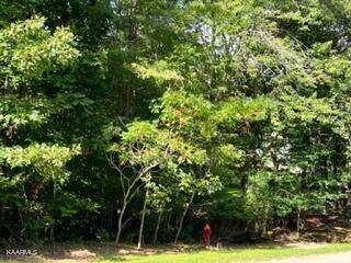 Forest Drive - Photo 1