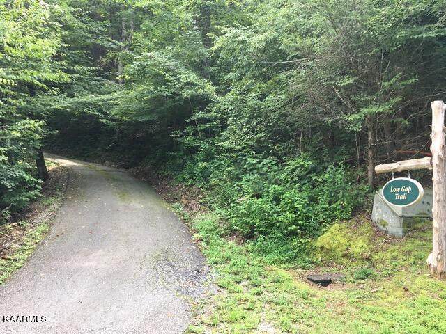 716 Tanasi Trail - Photo 1
