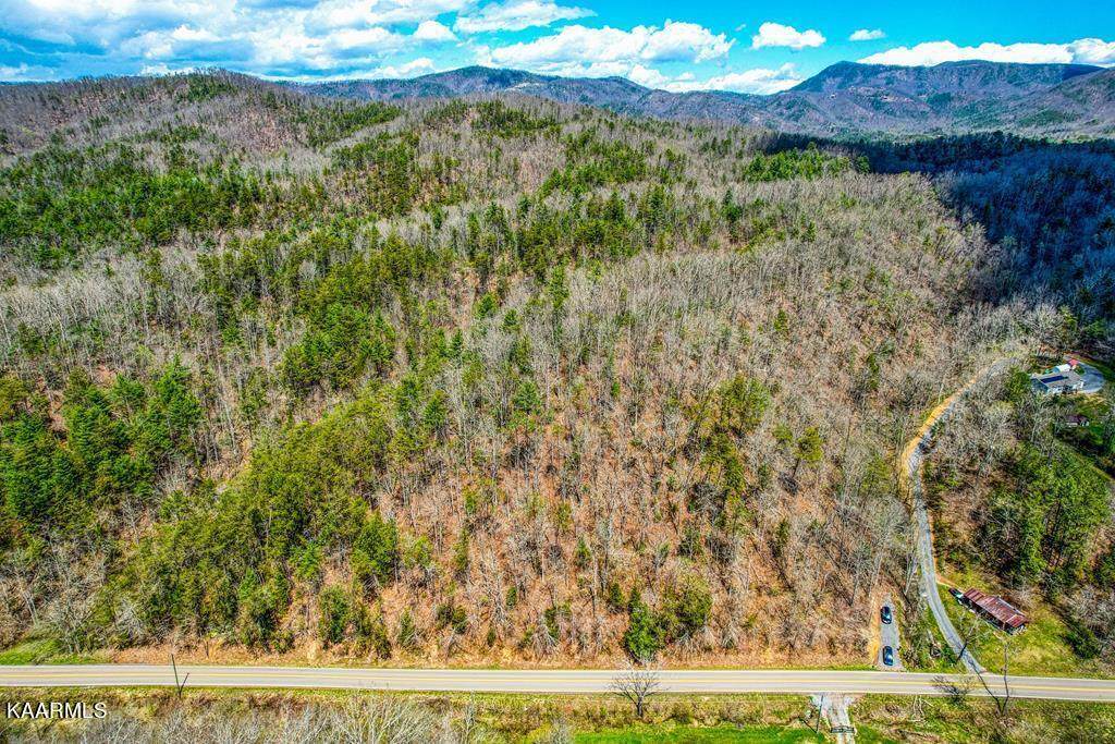 Lot 1 Jones Cove Rd - Photo 1