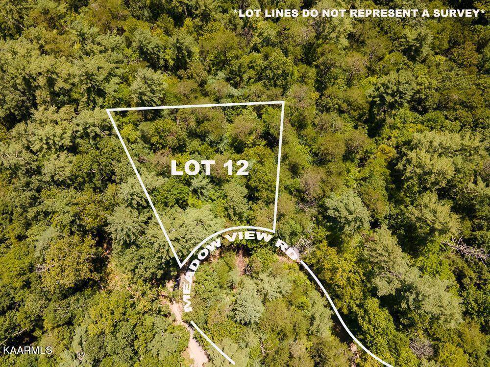 Lot 0012 Meadow View Rd - Photo 1