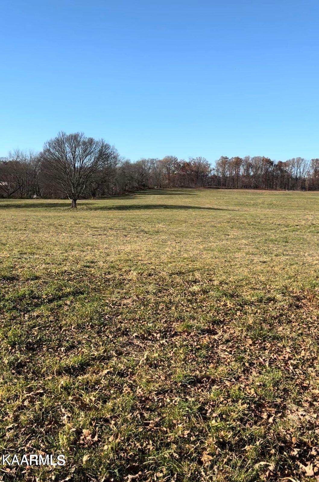 Lot 19 Temple Rd - Photo 1