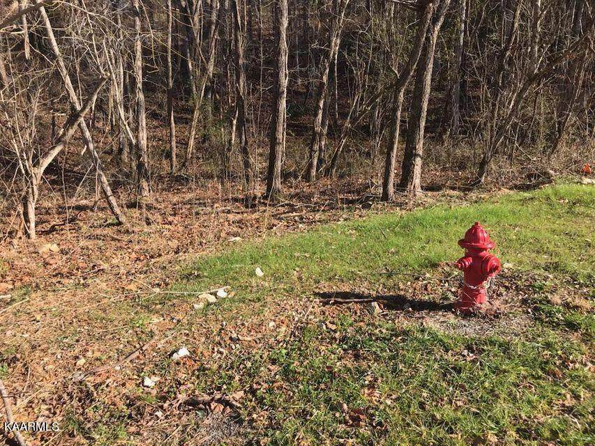 Dogwood Rd - Photo 1