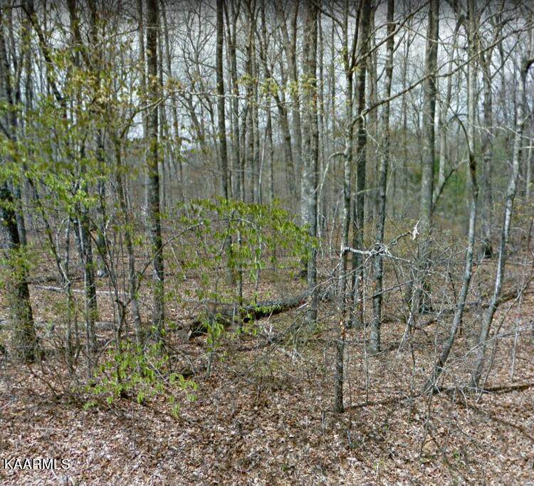 5032 Kolo Drive - Photo 1