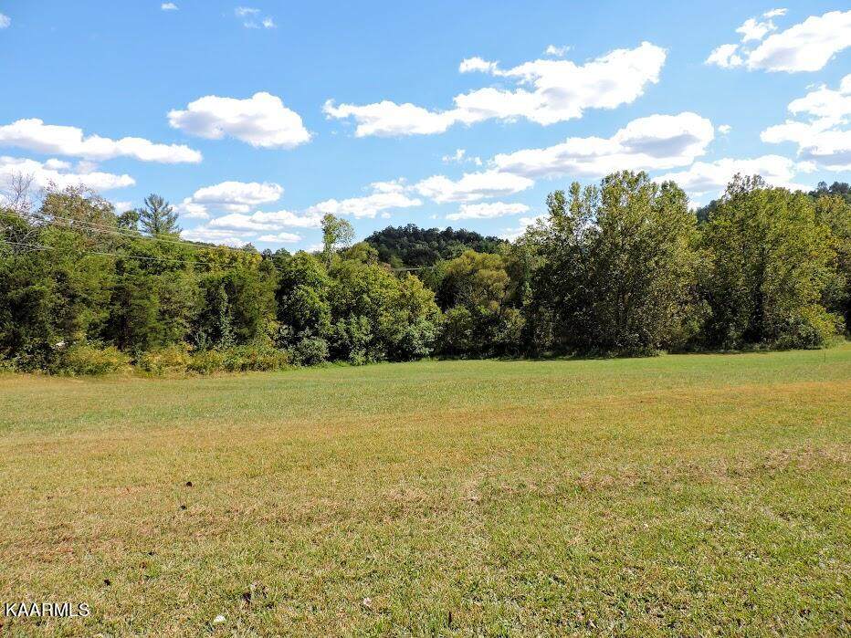 7637 Martin Mill Pike - Photo 1