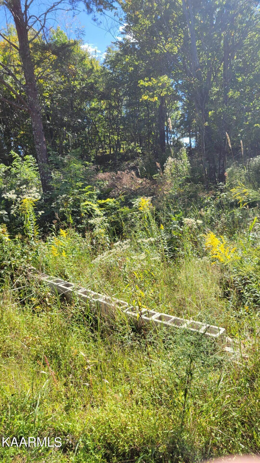 Laurel Mountain Rd - Photo 1
