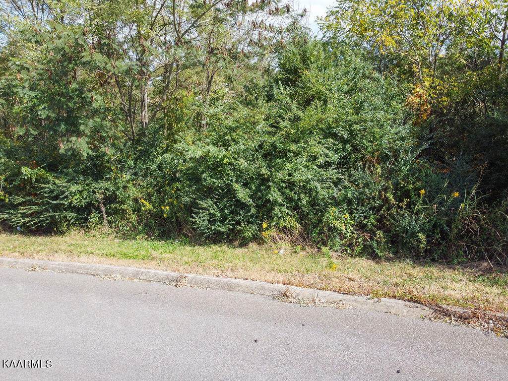 Ambernic Way - Photo 1