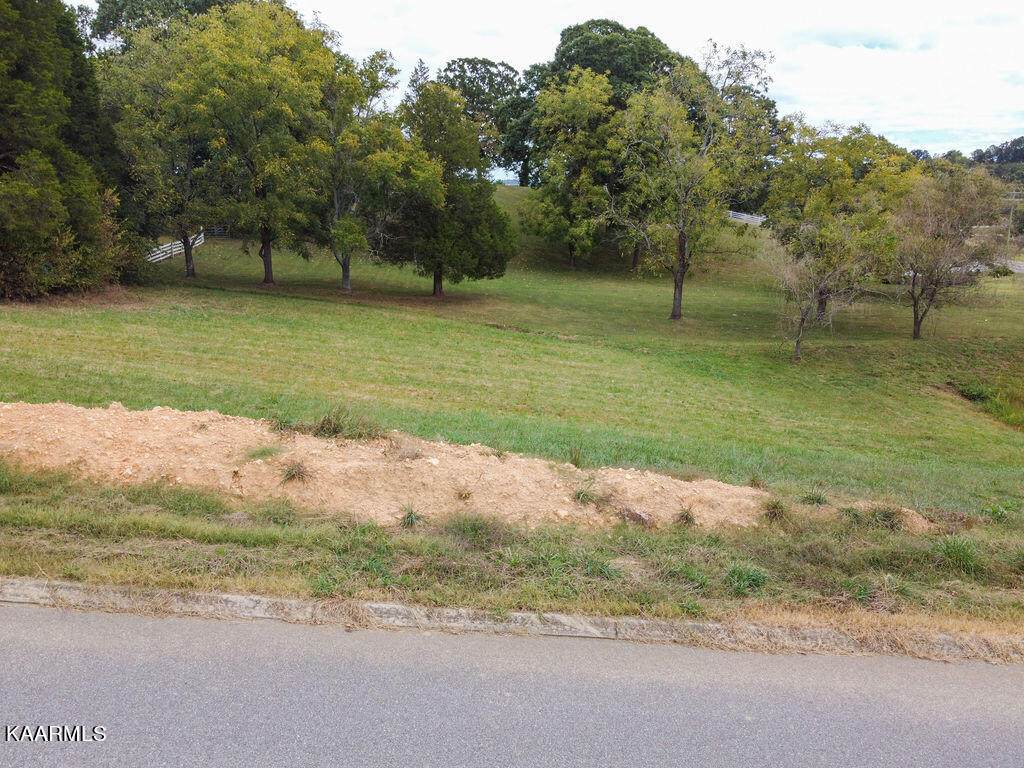 Duseth Drive - Photo 1