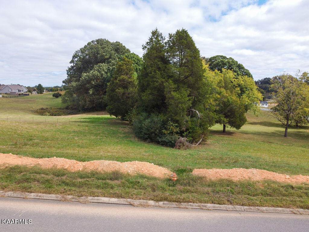 Duseth Drive - Photo 1