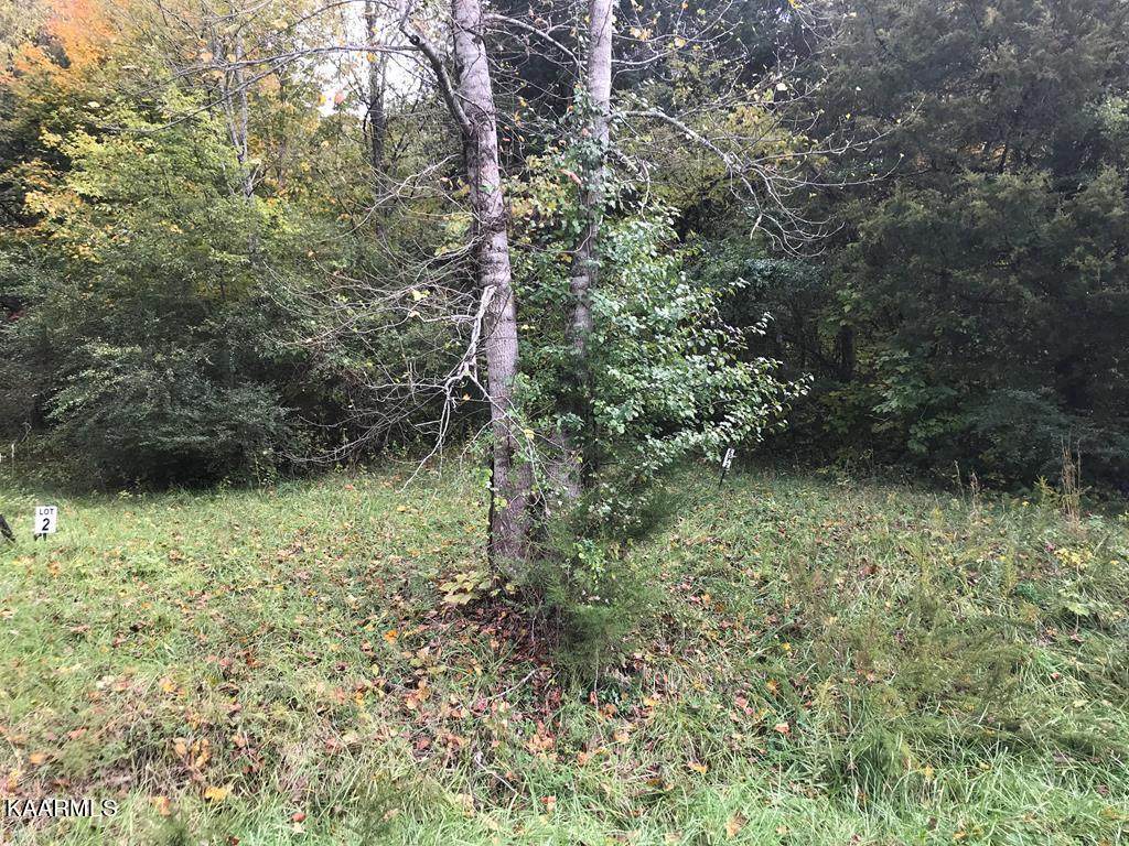 126 Long Gap Way - Photo 1