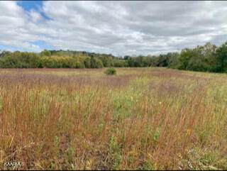 724 Blue Water Dr_Lot 27 - Photo 1