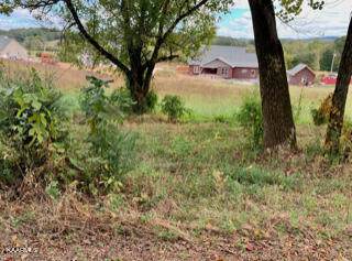 455 Burgess Mill Rd_Lot 34 - Photo 1