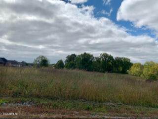 631 Blue Water Dr_Lot 59 - Photo 1