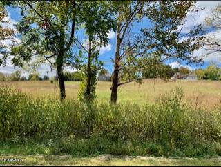 635 Thompson Creek Ln_Lot 83 - Photo 1