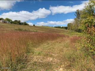 701 Blue Water Dr_Lot 85 - Photo 1