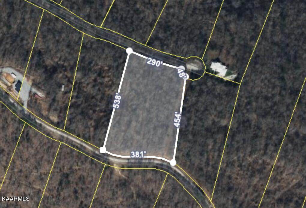 Lot 142 Maiden Lane - Photo 1