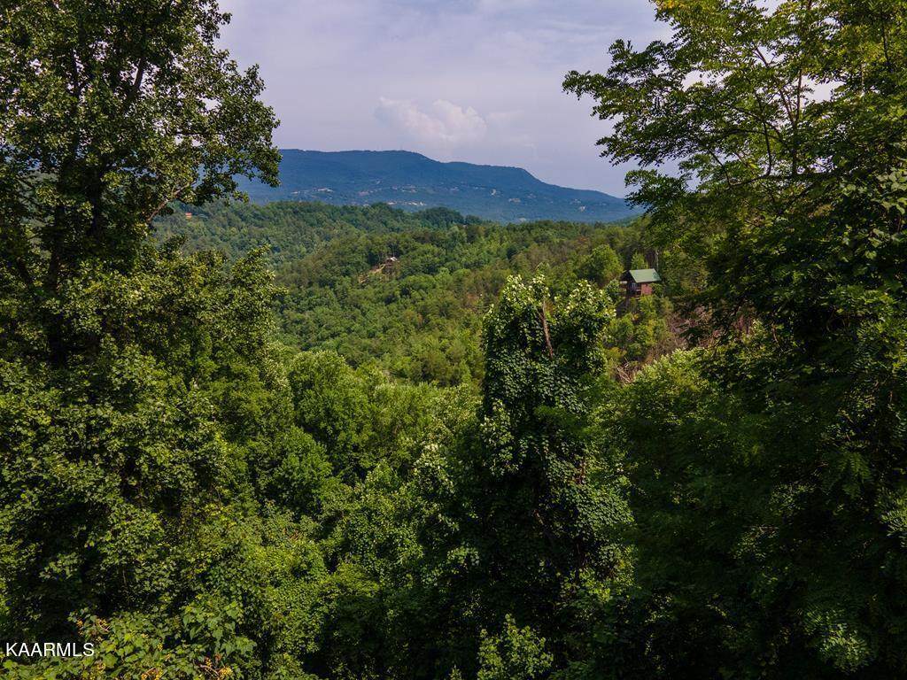 Lot 28 Sugar Maple Loop - Photo 1