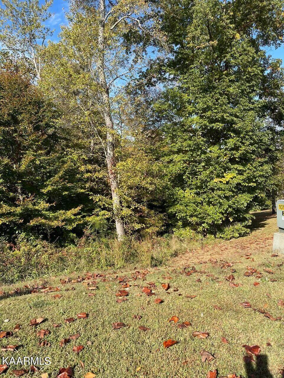 9019 Thunder Bay Way - Photo 1