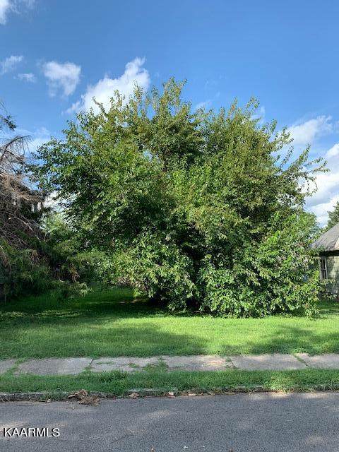213 Leonard Place - Photo 1
