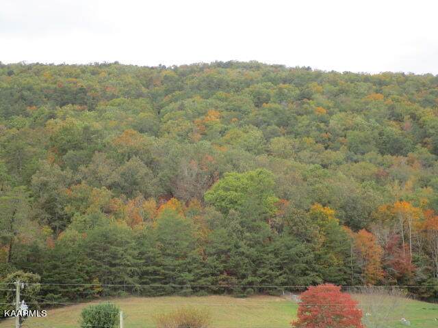 5800 Poor Valley - Photo 1