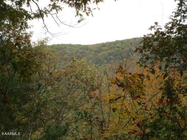 6200 Poor Valley Rd - Photo 1