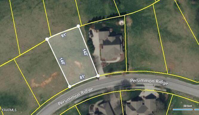 7412 Persimmon - Photo 1
