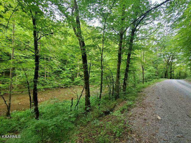 Hardy's Creek Rd - Photo 1