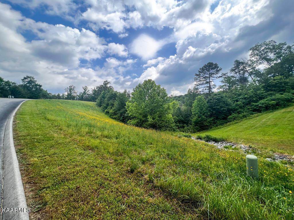 6219 Outlook Trail - Photo 1
