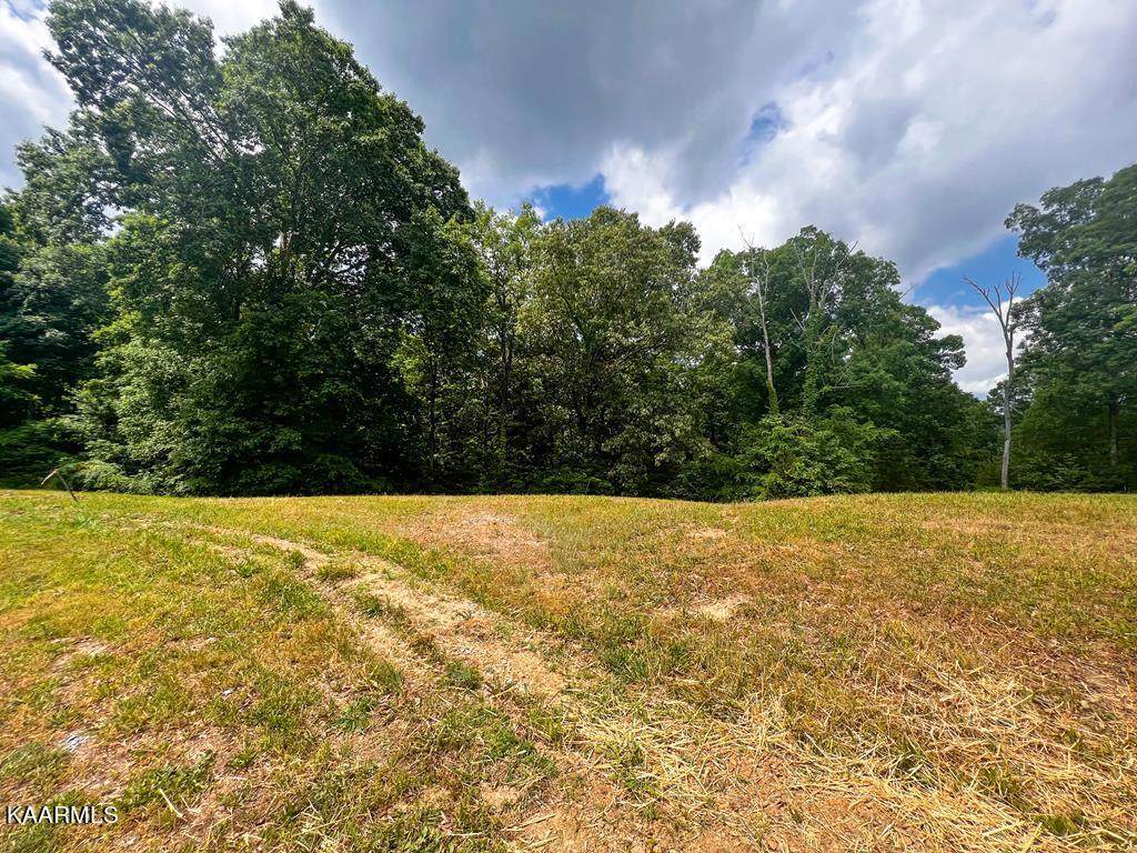 1991 Turners Landing Rd Rd - Photo 1