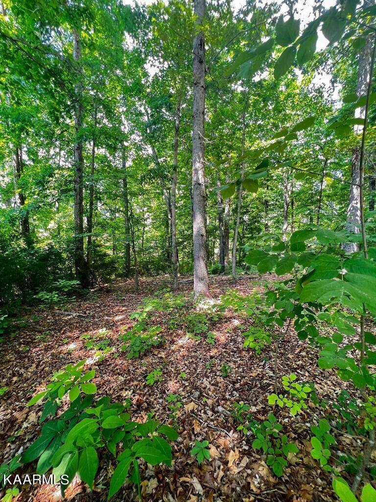 1937 Turners Landing Rd Rd - Photo 1
