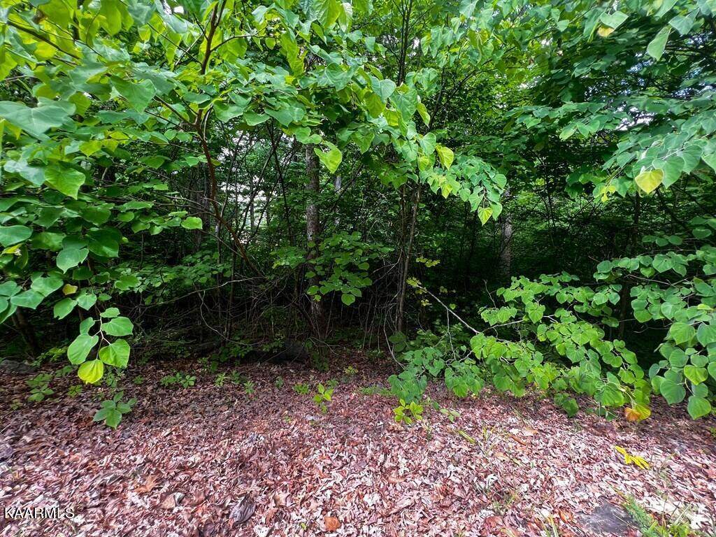 1947 Turners Landing Rd - Photo 1