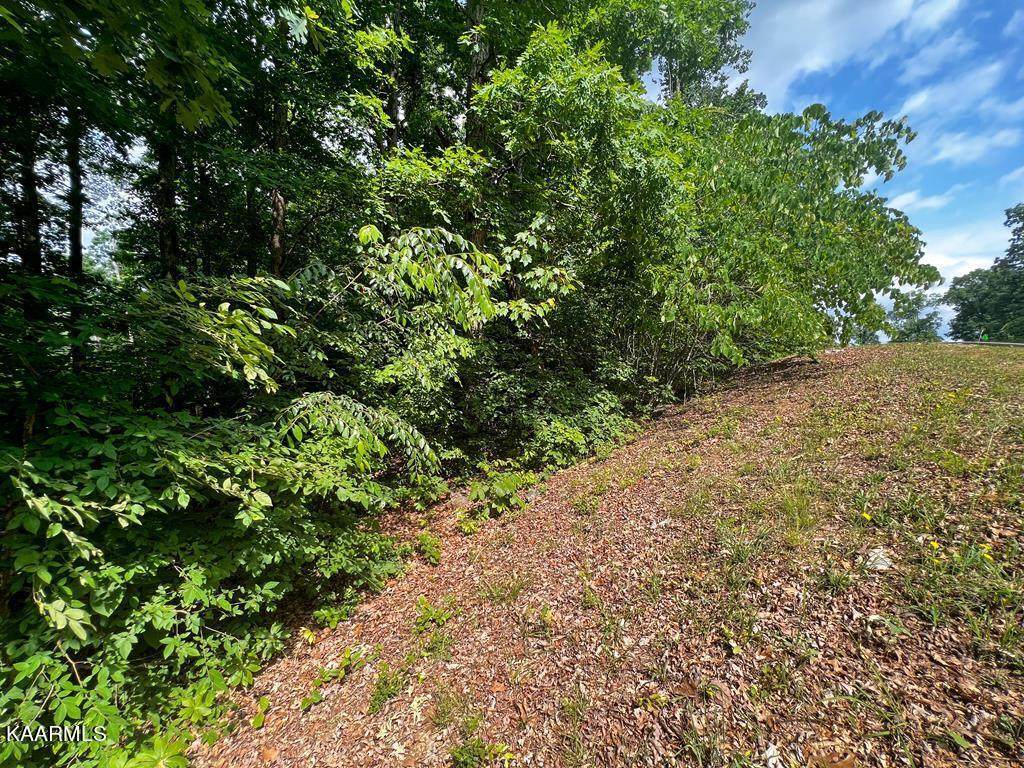 1941 Turners Landing Rd - Photo 1