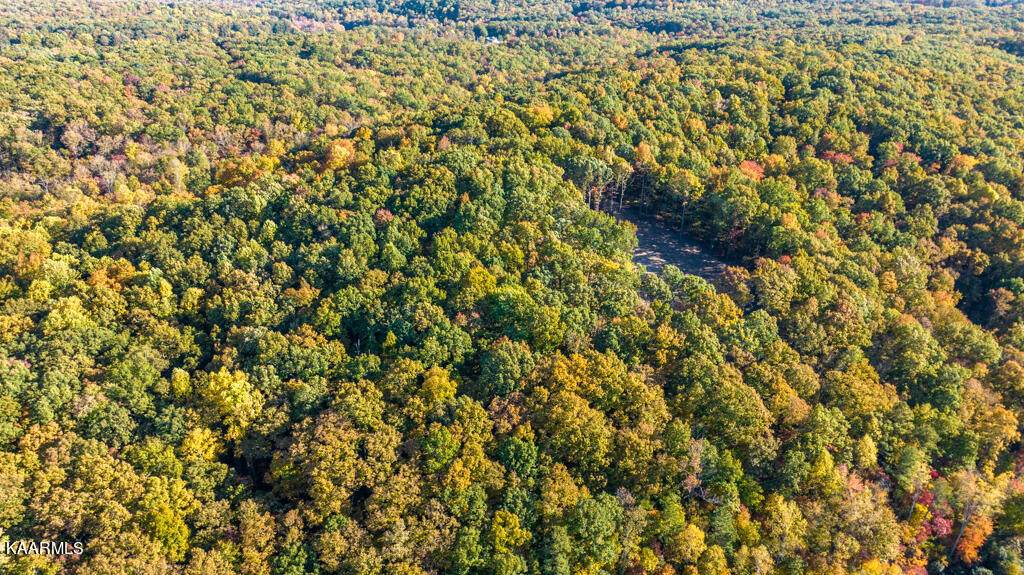 Chestnut Ridge Rd - Photo 1