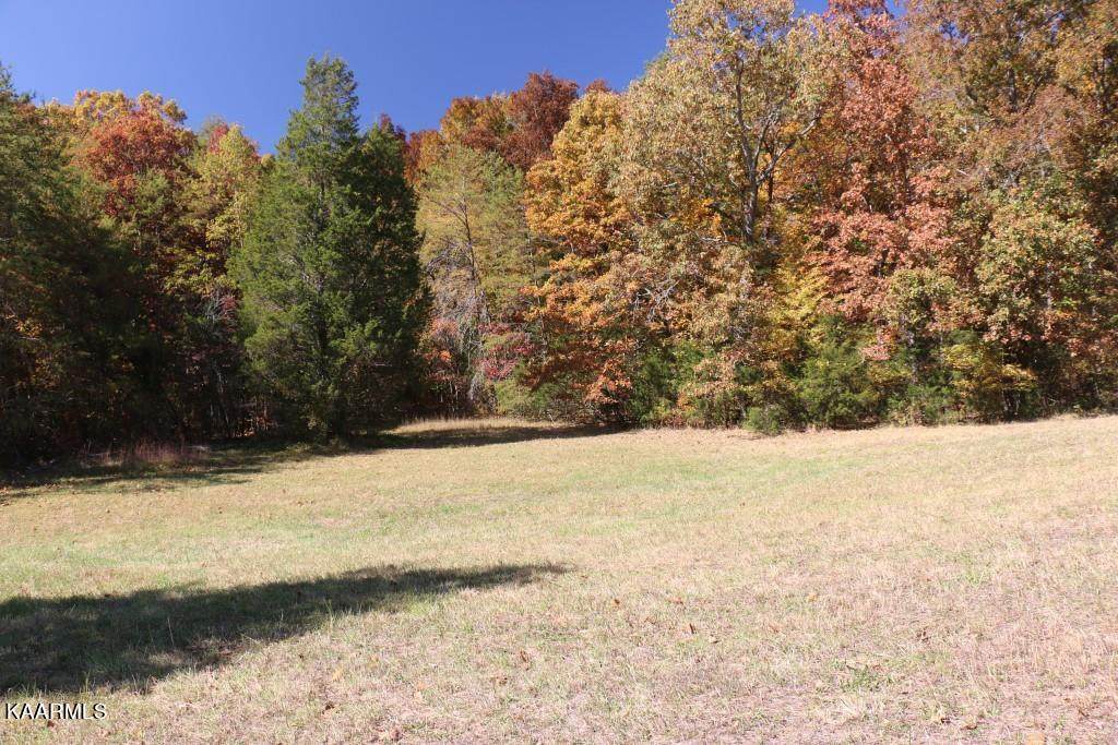 15 Acres Tomotley Rd - Photo 1