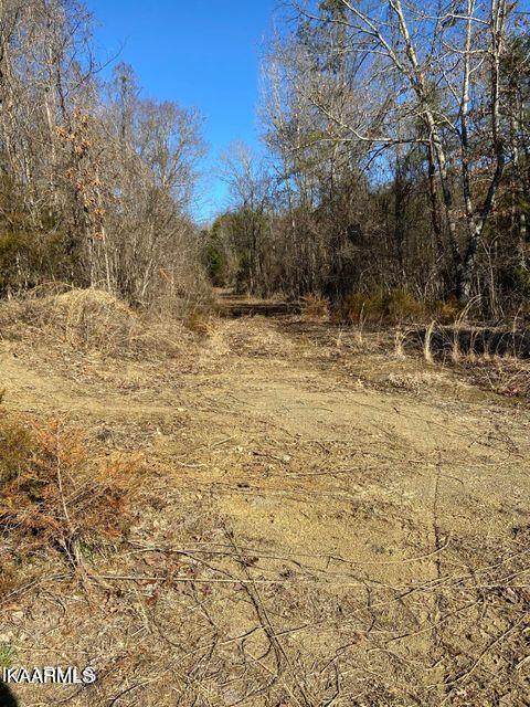 20 Acres Tomotley Road - Photo 1