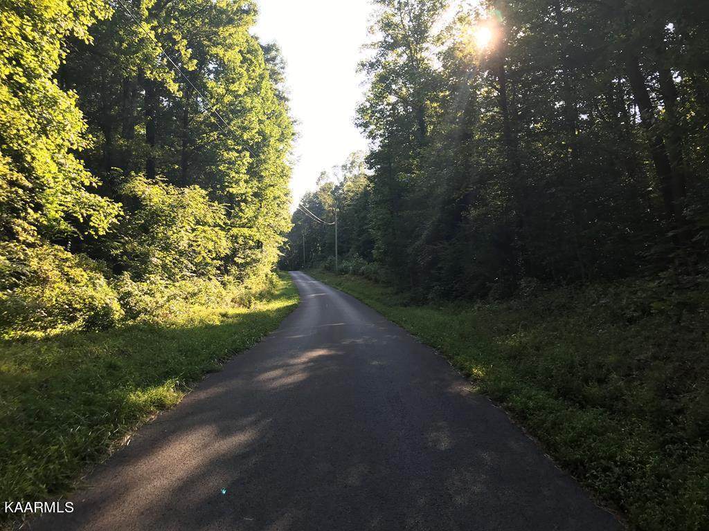Steve Brown Rd - Photo 1