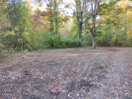465 Huse Watson Rd - Photo 1