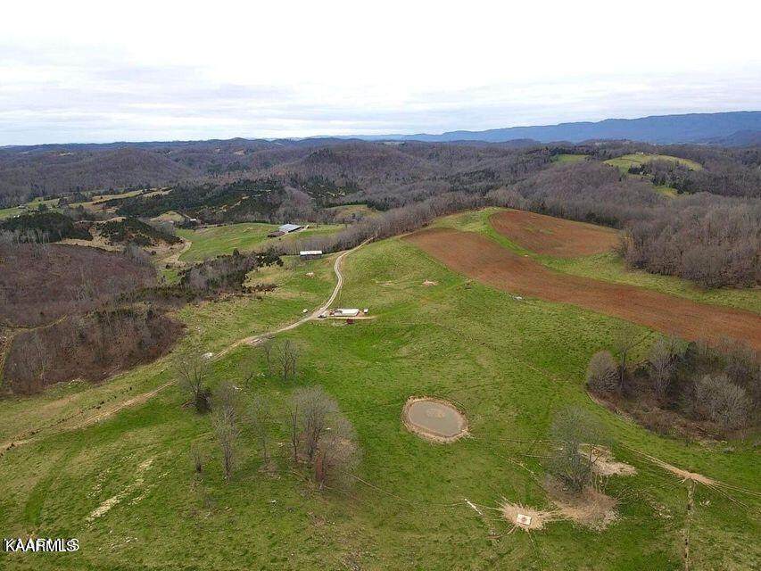 Willow Tree Rd - Photo 1