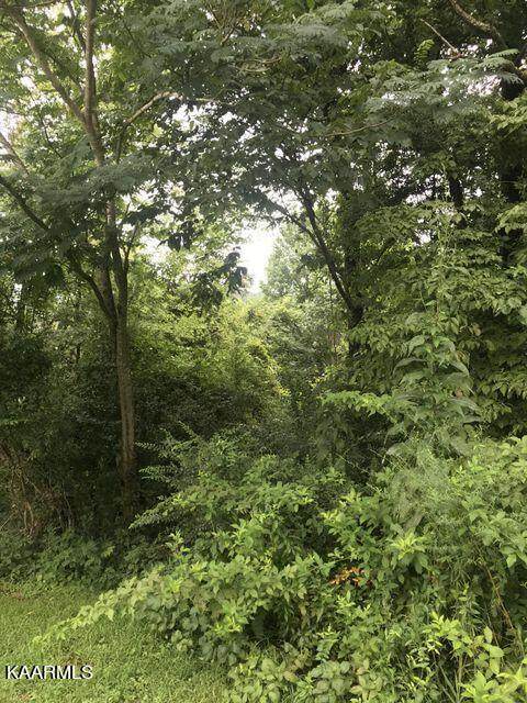 Wilson Station Rd - Photo 1