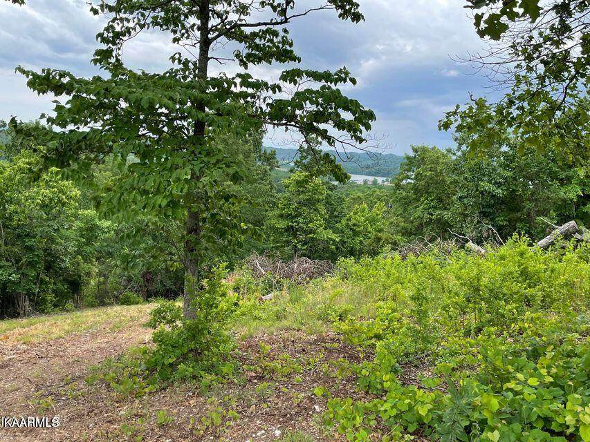 Mountain Drive - Photo 1