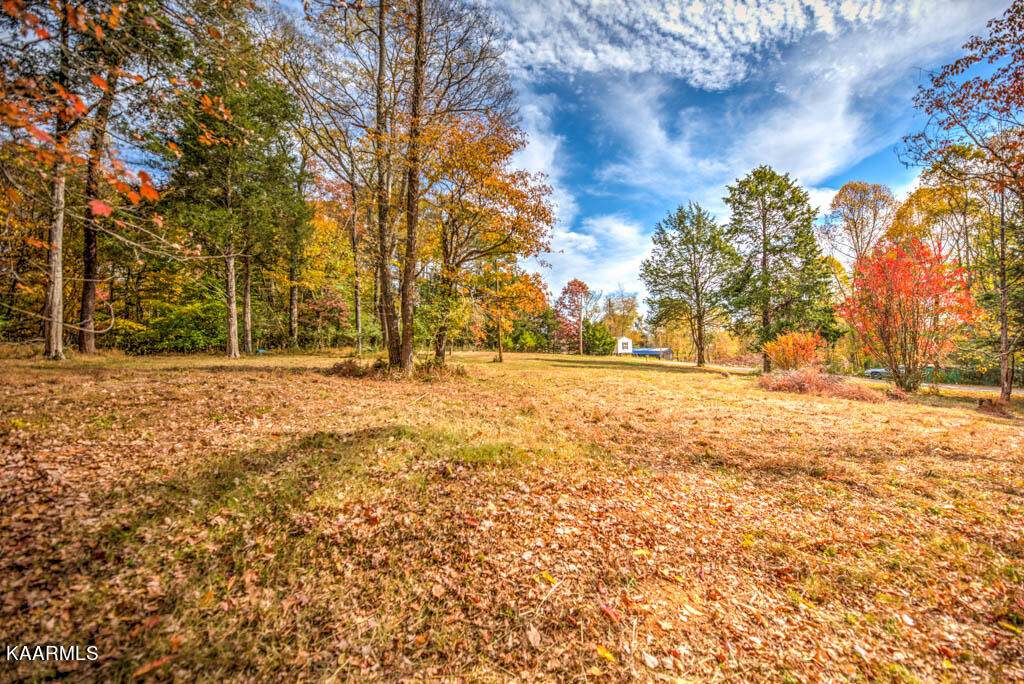 136 Oak Grove Rd - Photo 1