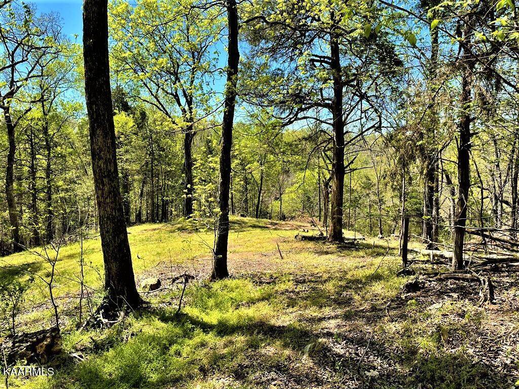 Hollow Springs Way - Photo 1