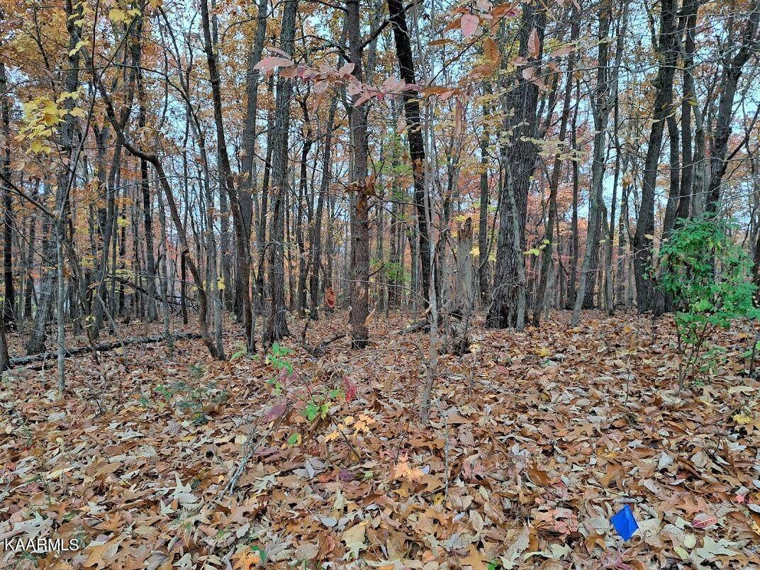 344 Lakeview Drive - Photo 1