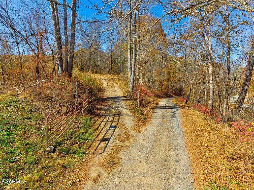 0 Richardson Creek Rd - Photo 1