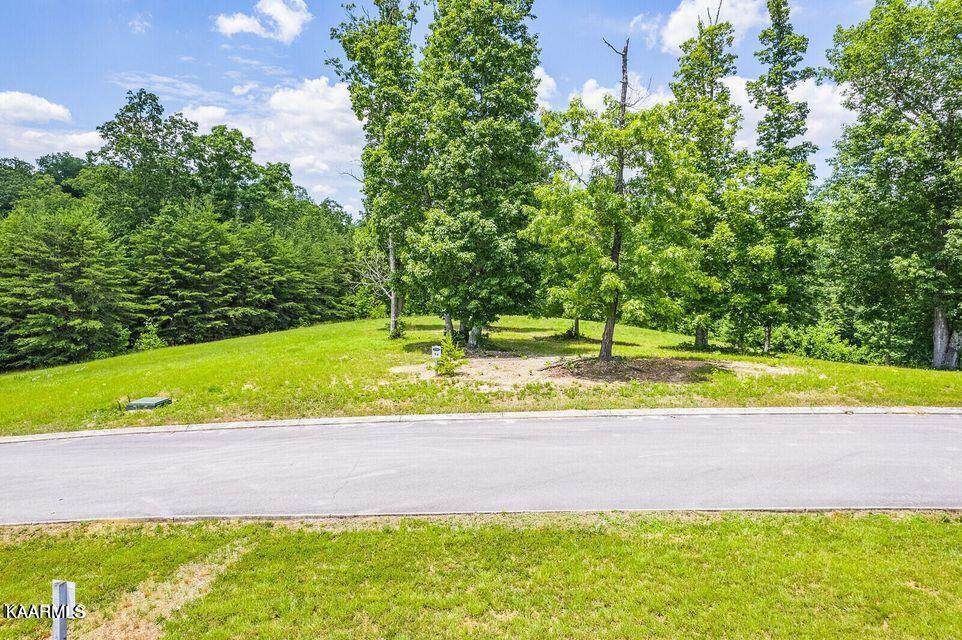 350 River Run Trail - Photo 1