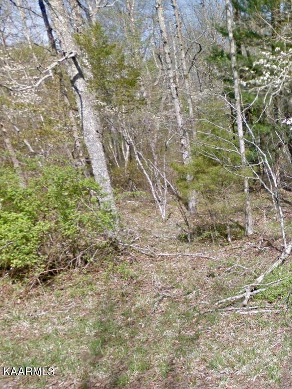 1007 Goti Drive - Photo 1